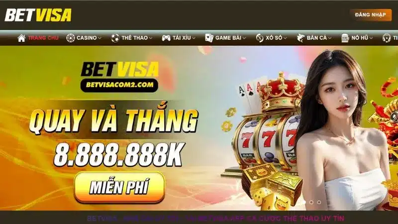 Nhà cái với giao diện thân thiện và chuyên nghiệp