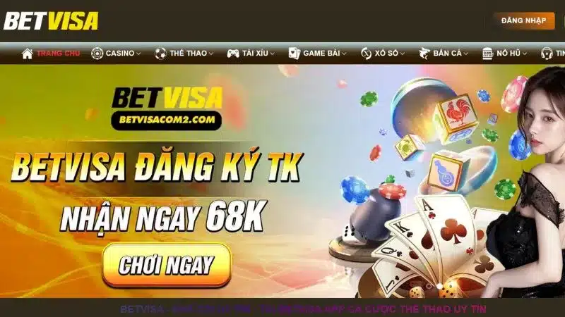 Điều khoản điều kiện quy định tại nhà cái Betvisa