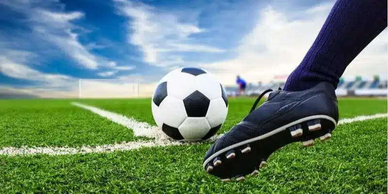 Tìm hiểu chi tiết về cược rung