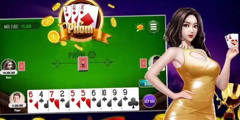 Nguyên tắc hoạt động trong phỏm 